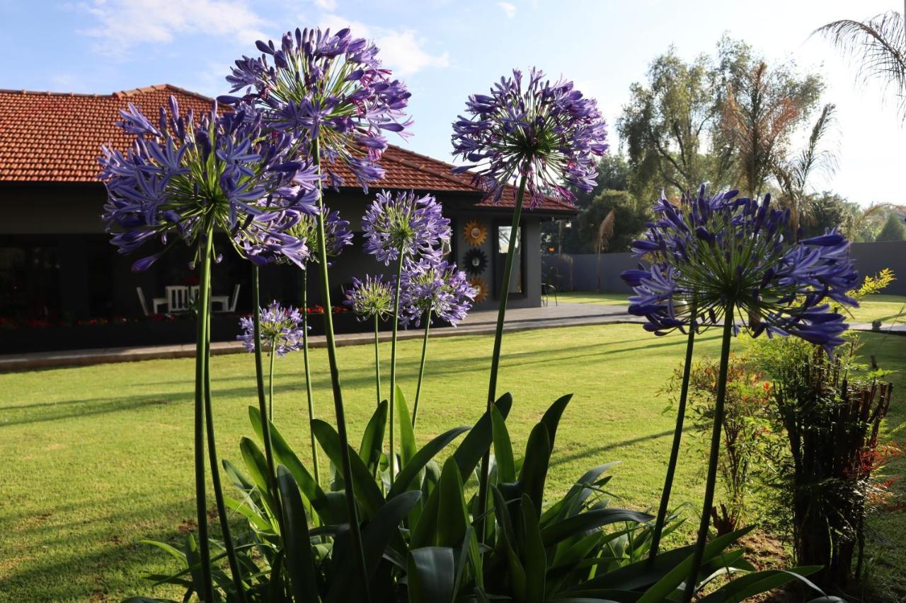 Villa Grande Luxury Accommodation Велком Екстериор снимка